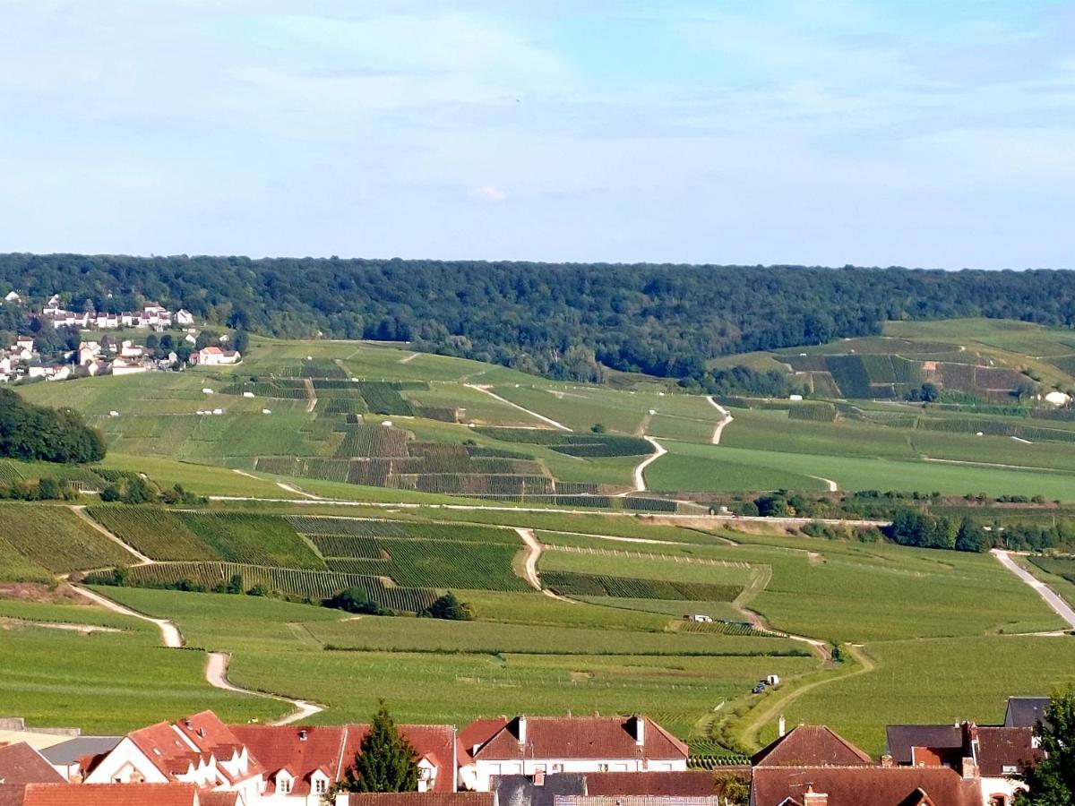 Épernay capital de Champagne Apartamento Exterior foto
